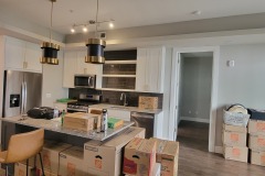 Master Golden Spring Fengshui Cases 2025 - 金泉居士风水案例 2025