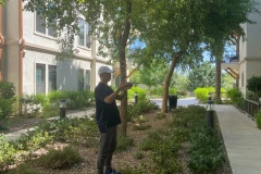 Master Golden Spring Fengshui Cases 2025 - 金泉居士风水案例 2025