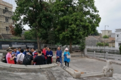 Field Study (考察）2018 - Tomb of Mrs. Mi's Lady in GuangDong JiangMen City