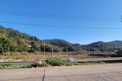 Field Study 2023 金泉居士中国风水考察 2023